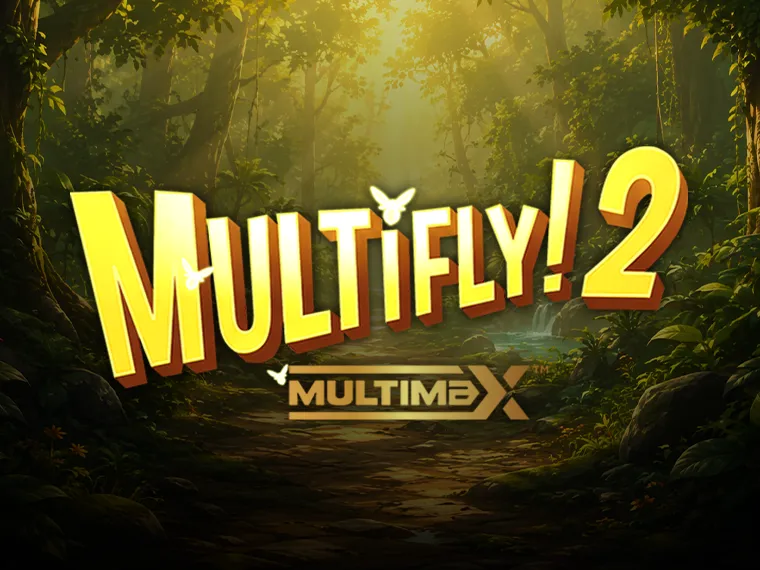 MultiFly! 2 MultiMax