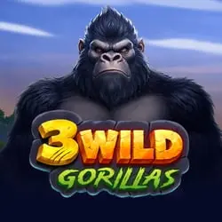 3 Wild Gorillas