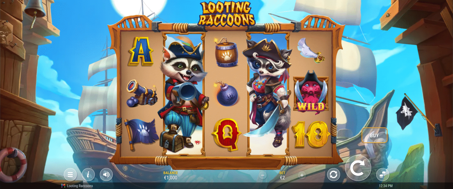 Looting Raaccoons
