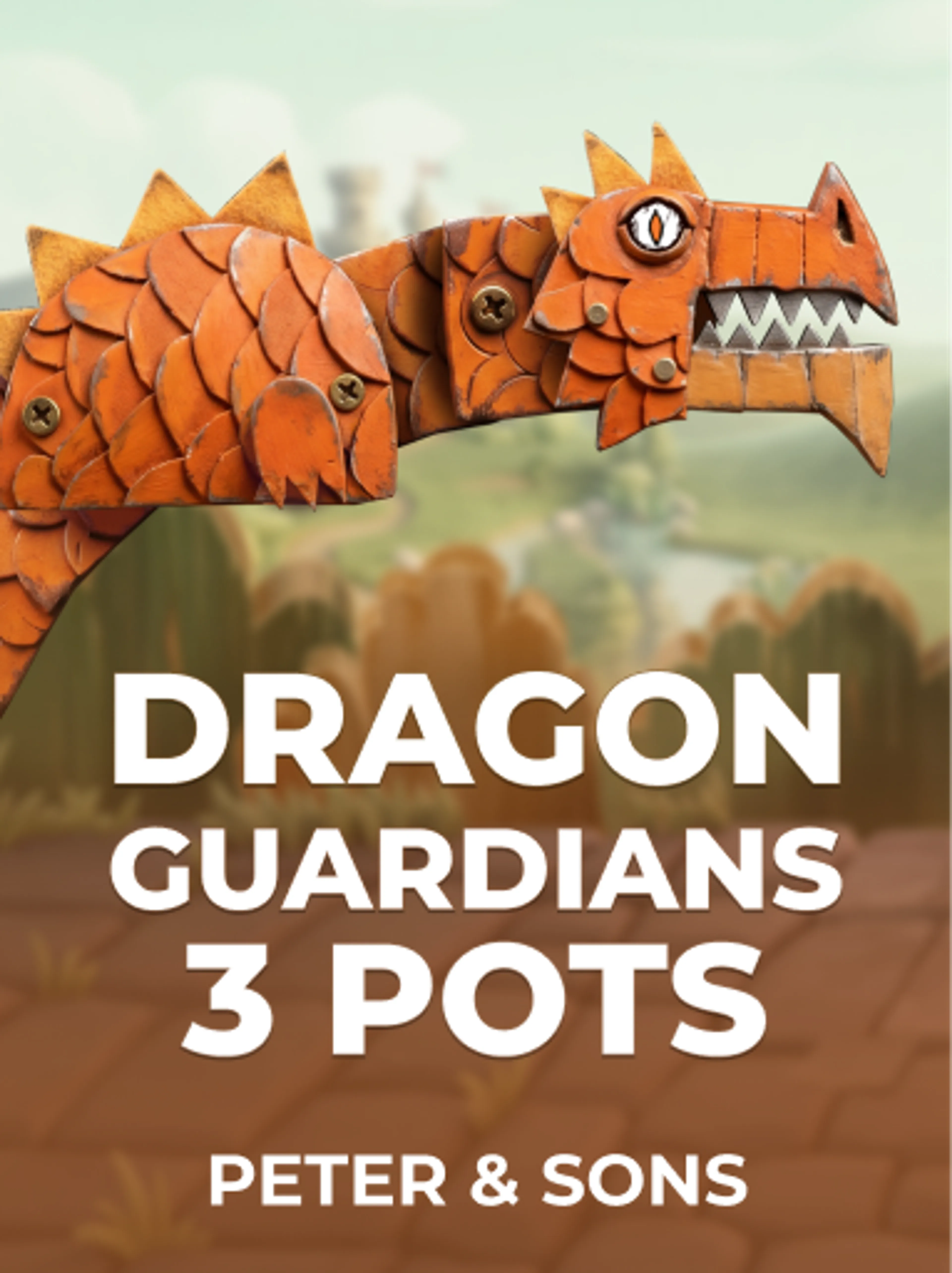 Dragon Guardians: 3 Pots